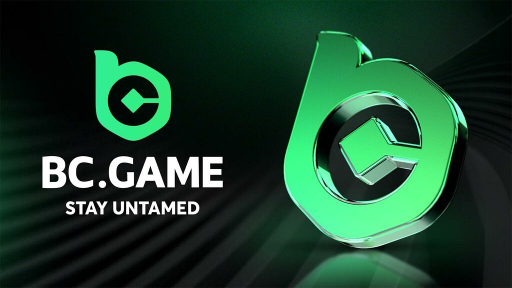 دليل إيداع BC.GAME خطوات بسيطة لبدء اللعب